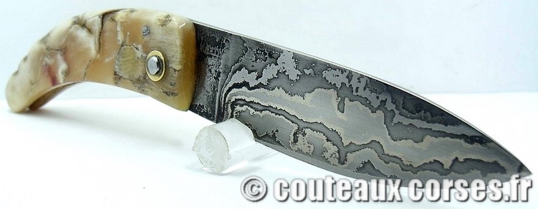 curnicciolu-damas-et-corne-de-belier-curnicciolu-damas-et-corne-de-belier-358K-padovani-8