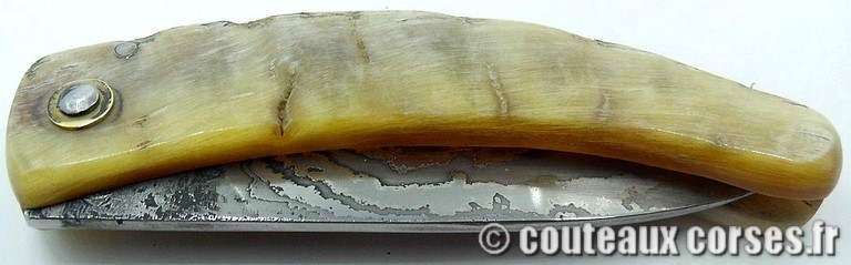 curnicciolu-damas-et-corne-de-belier-curnicciolu-damas-et-corne-de-belier-358K-padovani-3