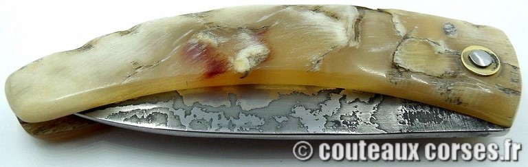 curnicciolu-damas-et-corne-de-belier-curnicciolu-damas-et-corne-de-belier-358K-padovani-2