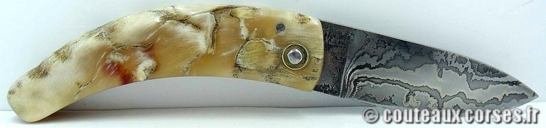 curnicciolu-damas-et-corne-de-belier-curnicciolu-damas-et-corne-de-belier-358K-padovani-8