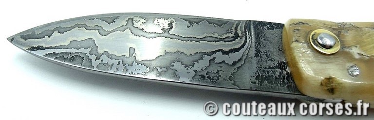 curnicciolu-damas-et-corne-de-belier-curnicciolu-damas-et-corne-de-belier-358K-padovani-89
