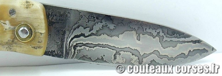 curnicciolu-damas-et-corne-de-belier-curnicciolu-damas-et-corne-de-belier-358K-padovani-1