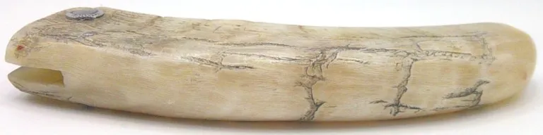 couteau-corse-artisanal-padovani-MP-1406-5-4
