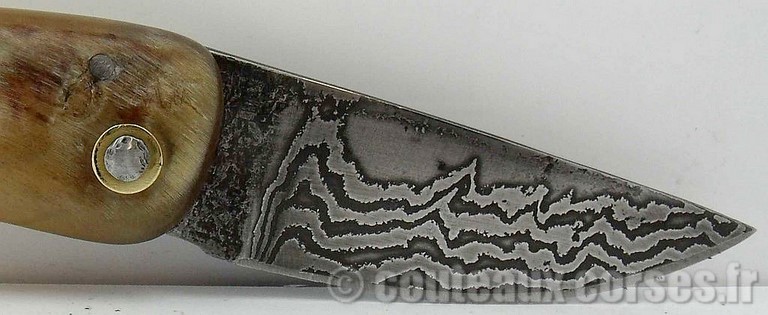 Couteau Corse artisanal bois amarante et damas couteau-corse-padovani-damas-3-corne-de-belier-1-4