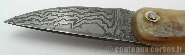 couteau-corse-padovani-damas-3-corne-de-belier-1-6-1