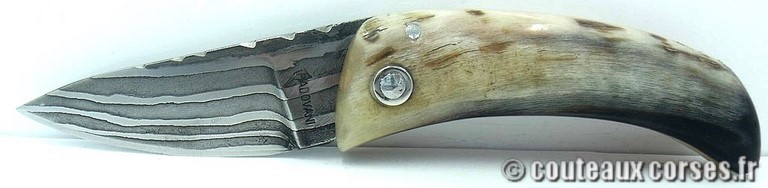 couteau corse curnicciolu damas et corne de belier couteau-corse-padovani-damas-a1-5.jpg