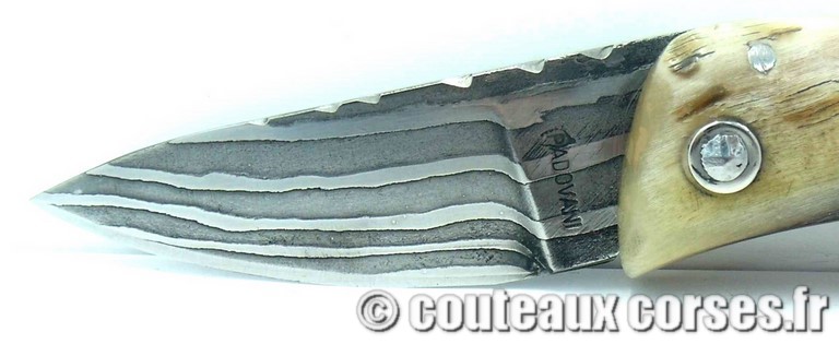 couteau corse curnicciolu damas et corne de belier couteau-corse-padovani-damas-a1-6-1.jpg