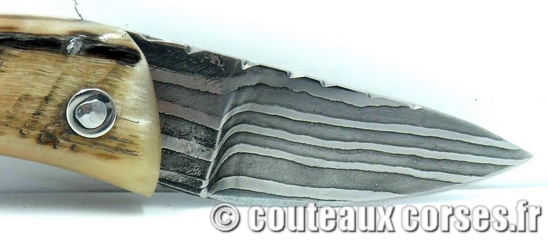 couteau corse curnicciolu damas et corne de belier couteau-corse-padovani-damas-a1-6-4.jpg