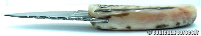 couteau-corse-padovani-damas-a1-7.jpg