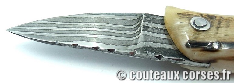 couteau-corse-padovani-damas-a1-8.jpg