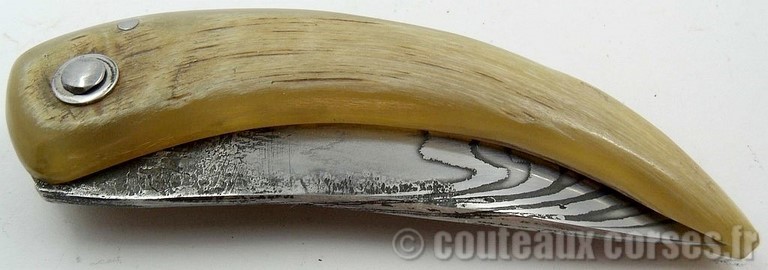curniccioulu-carbone-et-corne-chevre-manu-padovani-1