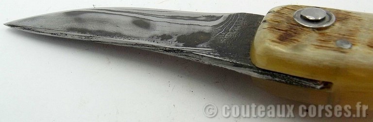 curniccioulu-carbone-et-corne-manu-padovani-8