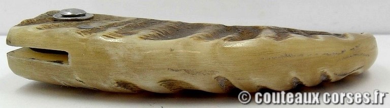 curnicciolu-sgaurdu-manu-padovani-c27