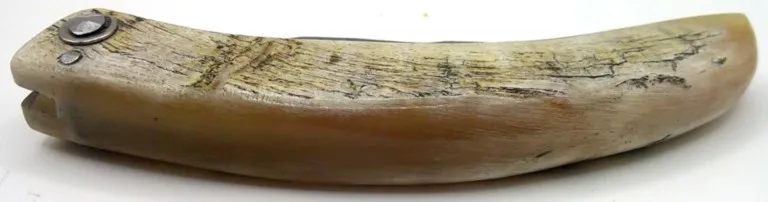 couteau-corse-traditionnel-artisanal-padovani-MP-1807-4-4