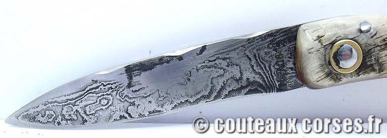 couteau corse curnicciolu damas et corne de belier curnicciolu-damas-et-corne-de-belier-VBRTP8556-padovani-198