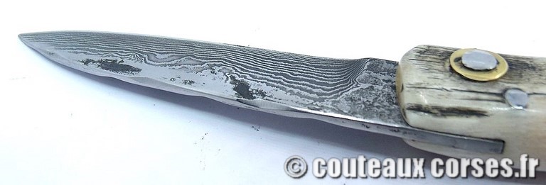 Curnicciolu corne de belier et damas king size M Padovani curnicciolu-damas-et-corne-de-belier-VBRTP8556-padovani-189