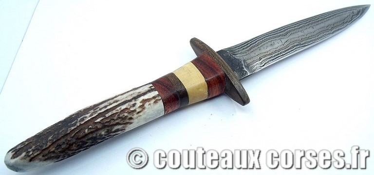 couteau corse curnicciolu damas et corne de belier curnicciolu-damas-et-corne-de-belier-EDCV8943-padovani-15