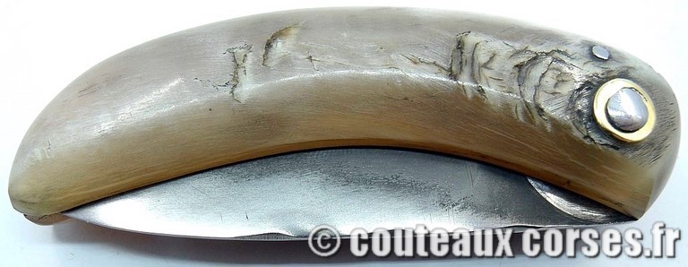 couteau corse curnicciolu Padovani u1 couteau-corse-curnicciolu-padovani-FGZM831-8