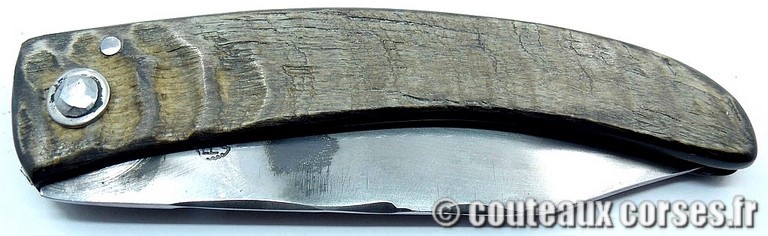 couteau corse curnicciolu Padovani u3 couteau-corse-curnicciolu-padovani-SMJT456-91