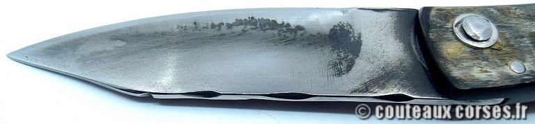 couteau corse curnicciolu Padovani u7 couteau-corse-curnicciolu-padovani-SMJT456-8