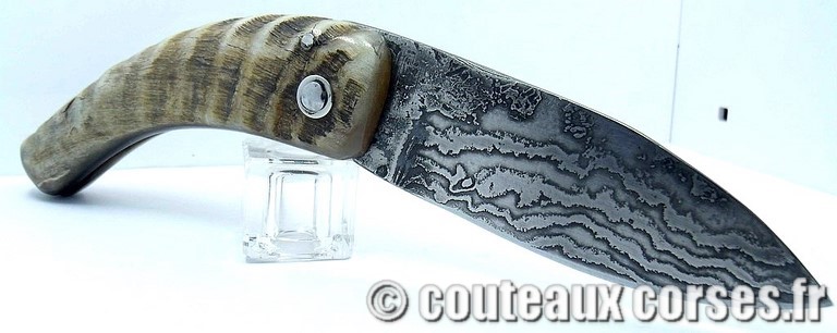 curnicciolu-damas-et-corne-de-belier-_JHER580-padovani-1128
