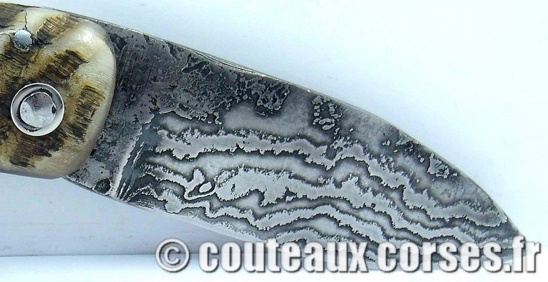 curnicciolu-damas-et-corne-de-belier-_JHER580-padovani-11