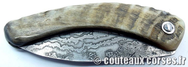 curnicciolu-damas-et-corne-de-belier-_JHER580-padovani-12