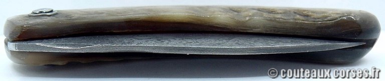 curnicciolu-damas-et-corne-de-belier-_JHER580-padovani-1