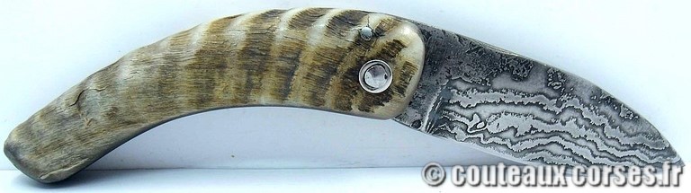 curnicciolu-damas-et-corne-de-belier-_JHER580-padovani-18