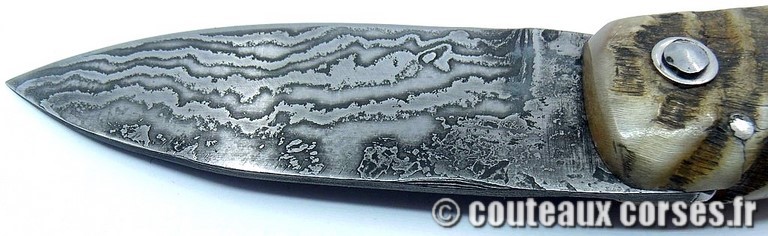 Curnicciolu corne de belier et damas king size M Padovani curnicciolu-damas-et-corne-de-belier-_JHER580-padovani-189