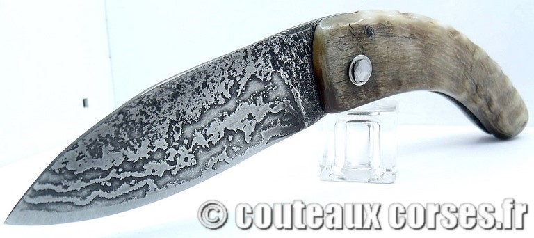 Curnicciolu corne de bouc et damas king size M Padovani curnicciolu-damas-et-corne-de-belier-_JHER580-padovani-1