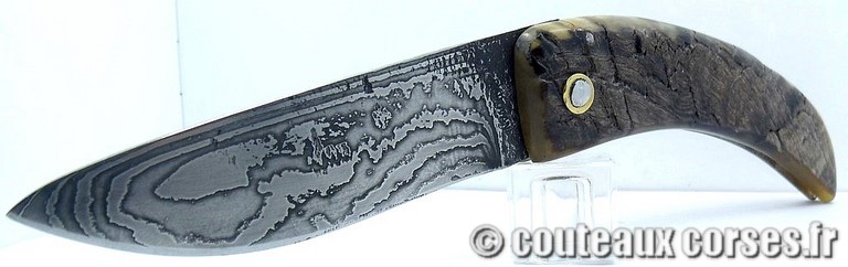 curnicciolu-damas-et-corne-de-belier-GHSD759-padovani-1