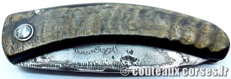 curnicciolu-damas-et-corne-de-belier-GHSD978-padovani-3