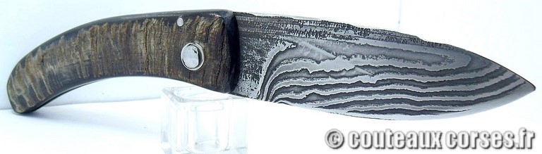 curnicciolu-damas-et-corne-de-belier-GHSD978-padovani-118