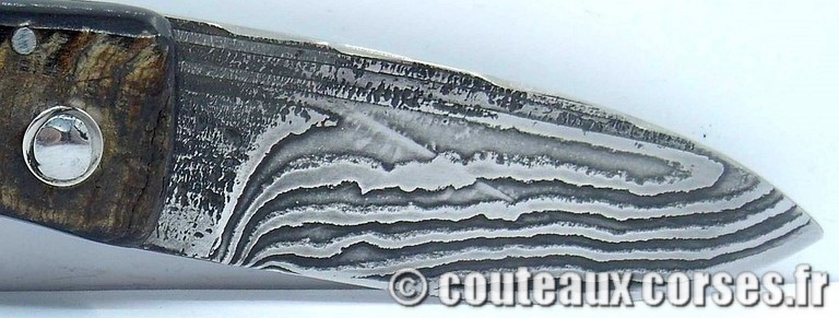couteau corse curnicciolu damas et corne de belier curnicciolu-damas-et-corne-de-belier-GHSD978-padovani-11