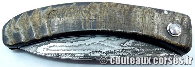 curnicciolu-damas-et-corne-de-belier-GHSD978-padovani-12