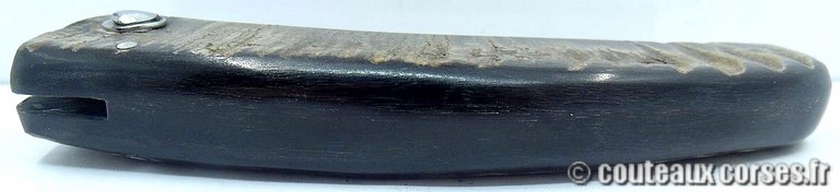 curnicciolu-damas-et-corne-de-belier-GHSD978-padovani-12