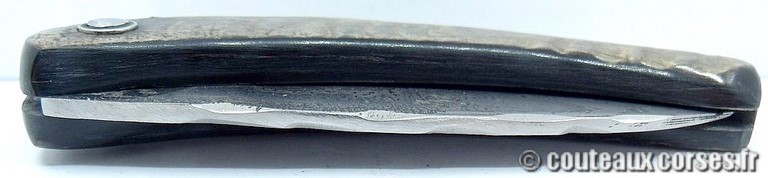 curnicciolu-damas-et-corne-de-belier-GHSD978-padovani-1