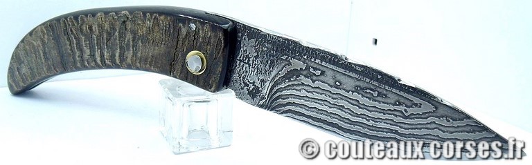 couteau corse curnicciolu damas et corne de bouc 17 curnicciolu-damas-et-corne-de-belier-KSDP8547-padovani-10