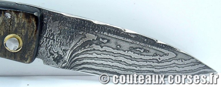 couteau corse curnicciolu damas et corne de bouc 16 curnicciolu-damas-et-corne-de-belier-KSDP8547-padovani-6-2