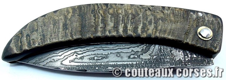 couteau corse curnicciolu damas et corne de bouc 10 curnicciolu-damas-et-corne-de-belier-KSDP8547-padovani-12
