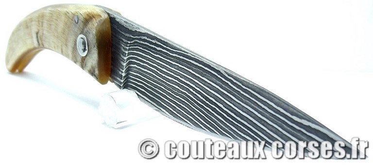 couteau corse curnicciolu damas et corne de belier 324 couteaux-corses-damas-padovani-aba-10