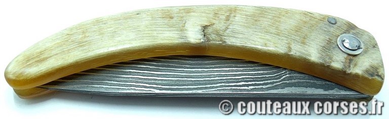 couteau corse curnicciolu damas et corne de belier 954 couteaux-corses-damas-padovani-aba-2