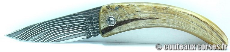 couteau corse curnicciolu damas et corne de belier a22 couteaux-corses-damas-padovani-aba-5