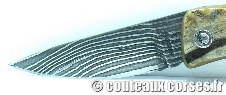 couteau corse curnicciolu damas et corne de belier couteaux-corses-damas-padovani-aba-5-1