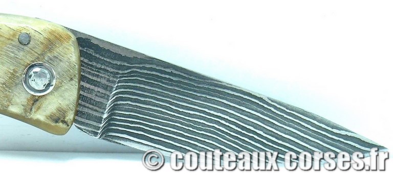 couteau corse curnicciolu damas et corne de belier 378 couteaux-corses-damas-padovani-aba-6-2