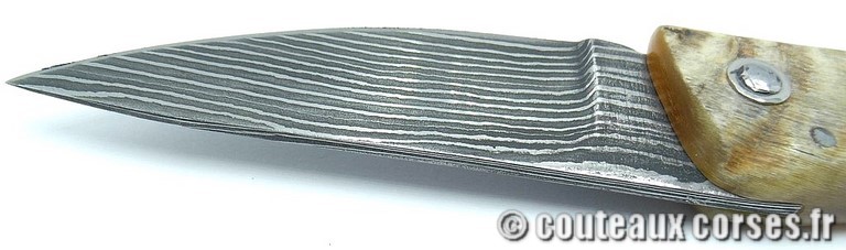 couteau corse curnicciolu damas et corne de belier 947 couteaux-corses-damas-padovani-aba-8