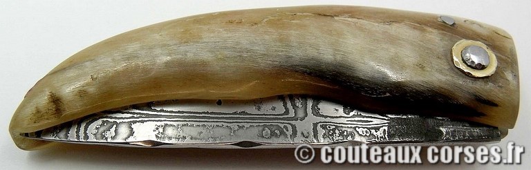 curnicciolu-damas-et-corne-de-belier-m3-padovani-1-2