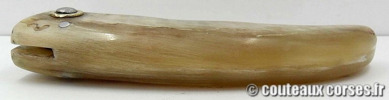 curnicciolu-damas-et-corne-de-belier-m3-padovani-11-3