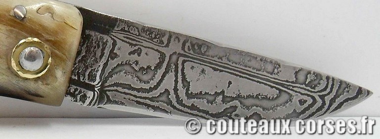 curnicciolu-damas-et-corne-de-belier-m3-padovani-11-7
